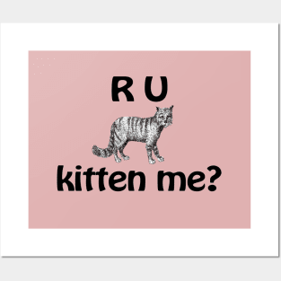 R U Kitten Me? Posters and Art